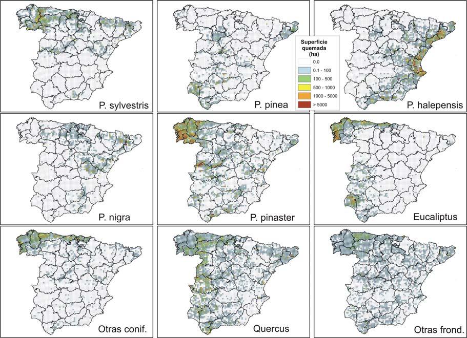 6/9 Figura 2. Mapas de la superficie quemada por cuadrícula para el periodo 1974-2005 en España peninsular (excepto Álava y Navarra).
