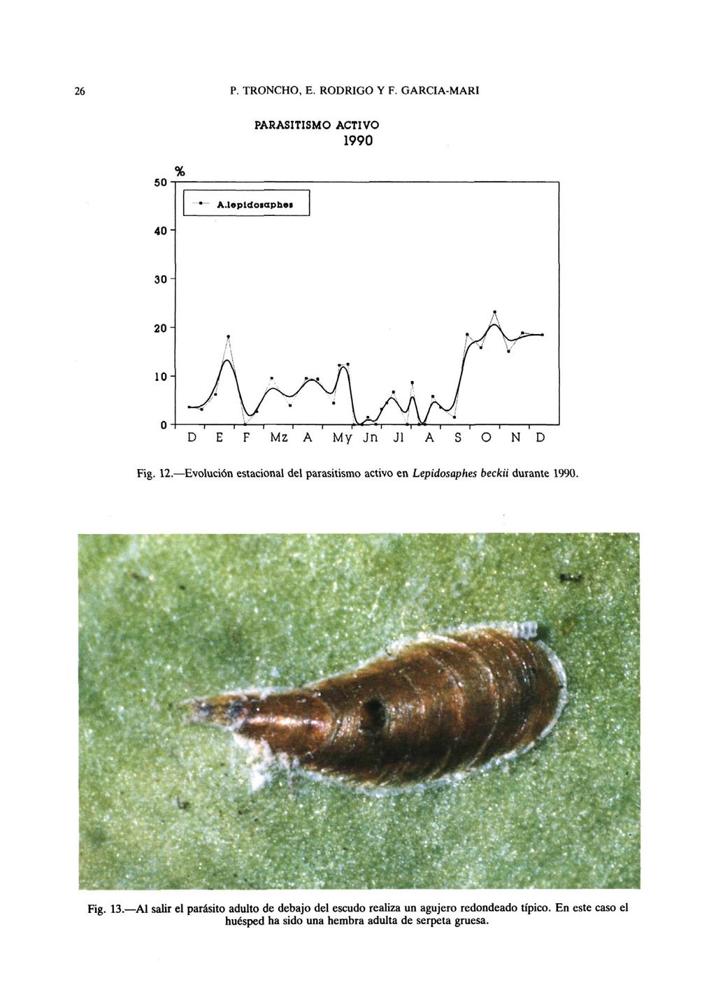 PARASITISMO ACTIVO 1990 Fig. 12. Evolución estacional del parasitismo activo en Lepidosaphes beckii durante 1990. Fig. 13.