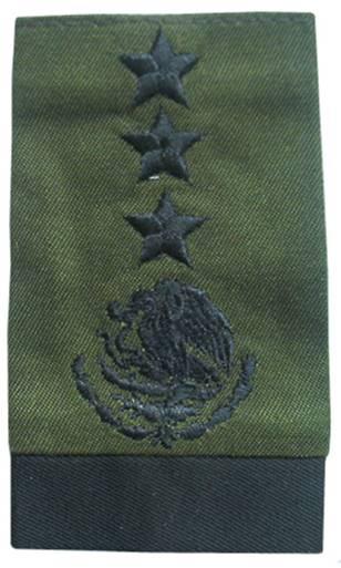 Viernes 19 de noviembre de 2004 DIARIO OFICIAL (Segunda Sección) 211 II. Generales (ver Fig. 354). De División De Brigada Brigadier Fig.