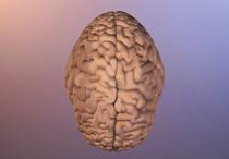 Qué es la enfermedad de Alzheimer? El Alzheimer es un tipo de demencia que causa problemas con la memoria, el pensamiento y el comportamiento.