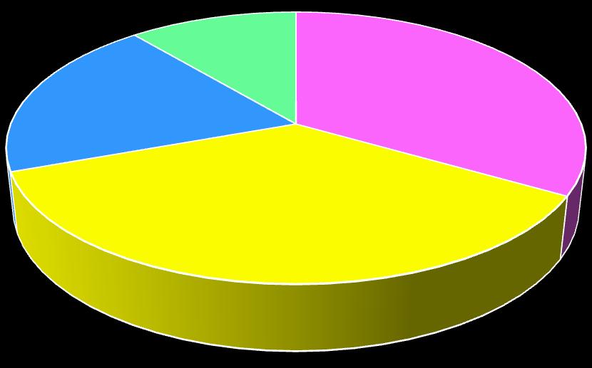 Descubre la Magia de Pichincha Participantes Paseos Familiares Enero a Diciembre 2013 Participantes Paseos Familiares Junio a Diciembre 2014 5% 9% 14% 20% 11% 33% 72% 36% Barrios DMQ