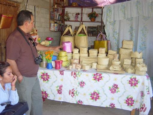 productos de palma y vivero de cactáceas de la RB Tehuacán-Cuicatlán y de procesadora de alimentos en la RB