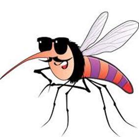 Los ojos de los mosquitos son como los de los humanos, que se adaptan mejor con la luz del sol.