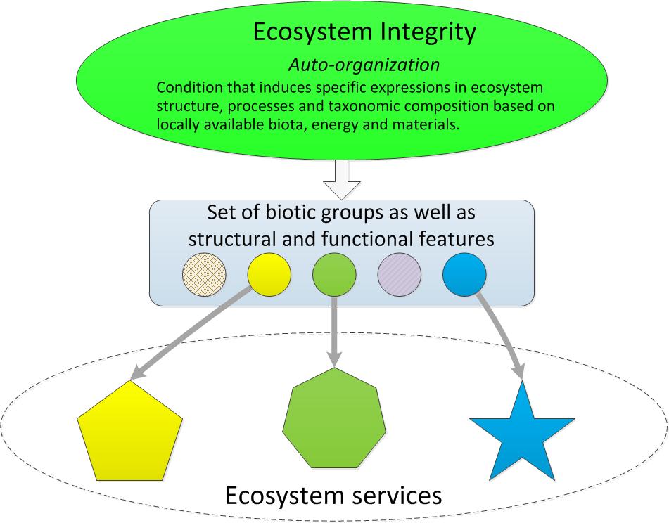 Ecosystem condition 2 Ecological integrity Ecological Integrity: Inferred from biodiversity and