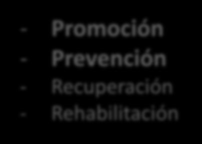 Rehabilitación - Promoción - 
