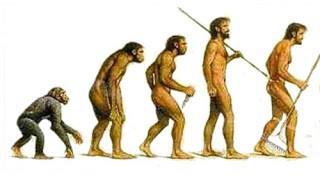 La teoría biológica de la evolución Vida humana parte del reino animal. Carl von Linné (1707-1778): afinidad del hombre y los monos. Hombre: homo sapiens.