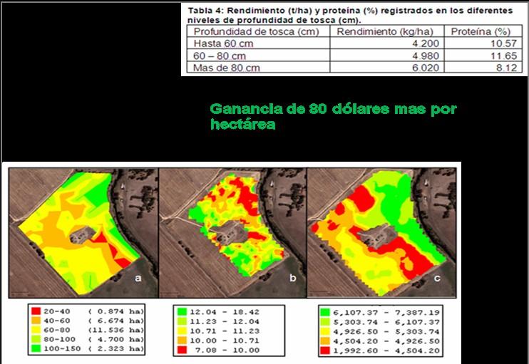 Figura 4. Efecto de profundidad efectiva de suelo sobre el rendimiento y calidad de trigo.