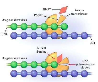NNRTI (Inhibidores no nucleosídicos de TR) Nevirapina