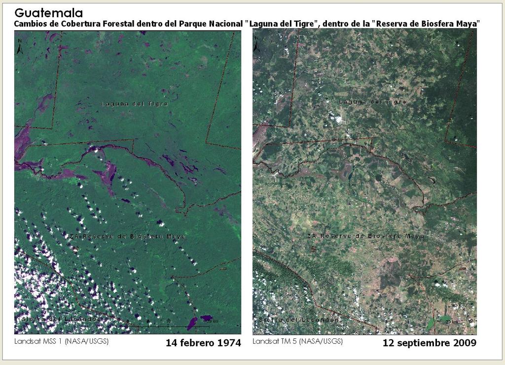 Mapa Centroamericano de Cobertura y Uso de la Tierra Figura 58. Cambios de cobertura forestal dentro del área protegida Reserva de Biosfera Maya, Guatemala; imágenes Landsat MSS y TM (NASA/USGS).