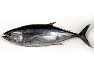 Los Omega-3 se encuentran de forma natural y abundante en los pescados azules (atún, bonito, trucha, sardinas, chicharro, anchoas y salmón), crustáceos (Krill), frutos secos (avellanas-nueces), pipas