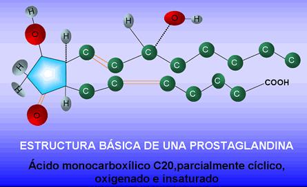 Lípidos: Esteroides, Prostaglandinas Son hormonas derivadas de ácidos grasos poliinsarturados de 20 carbonos con un anillo de cinco átomos de