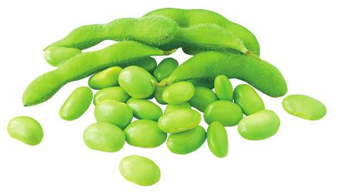 El grano de soya es una de las pocas fuentes vegetales de proteína completa, esto significa que suministra al cuerpo los aminoácidos esenciales, que son los