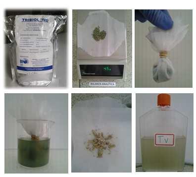 TRIBIOL: Agente microbial en gránulos dispersables de uso agrícola. Ingrediente activo: 30% Trichoderma harzianum (5x10 9 ) esporas/gr. Cantidad usada 4.5 gr.