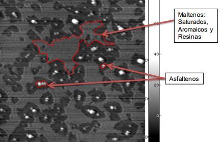 Figura 3. Vista en microscopio de un asfalto. Tomada de ensayo determinación de las fracciones SARA de asfaltos colombianos envejecidos al medio ambiente empleando cromatografía líquida en columna.