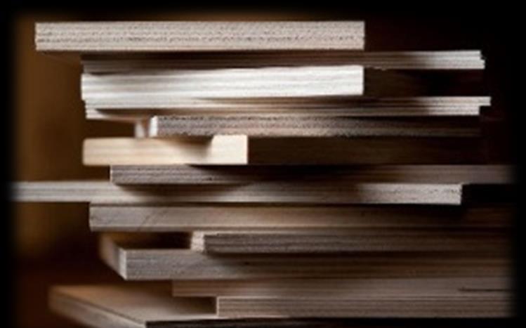 La incertidumbre creada por la disputa en Alemania puede explicar en parte el reciente aumento de las importaciones de madera contrachapada de madera dura china en los