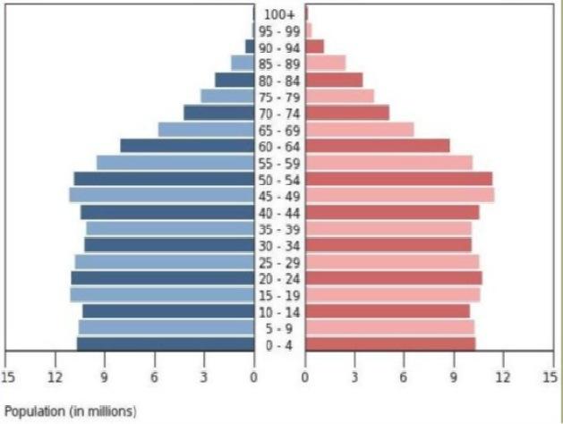 2. POBLACIÓ ESTACIONATIA O INTERMÉDIA - Piramide amb l'amplada de baseque disminueix molt lentament - Igualtat entre generacions joves i adultes - Creixament natural