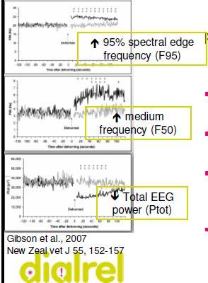 Análisis del EEG (Gibson et al.