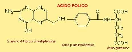 2.8ESTRUCTURA: En la estructura química del ácido fólico están involucradas la 2 amino-4 hidroxi-6 metil pteridina, el ácido p aminobenzoico y el ácido glutámico.(fig.4) Fig.