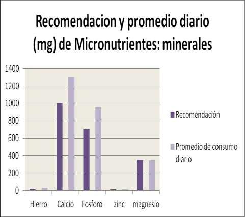GRAFICO 22: El siguiente grafico refleja las recomendaciones y promedio diario de micronutrientes.