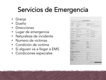 Si usted llama a los servicios de emergencia hay una gran cantidad de información que van a necesitar.