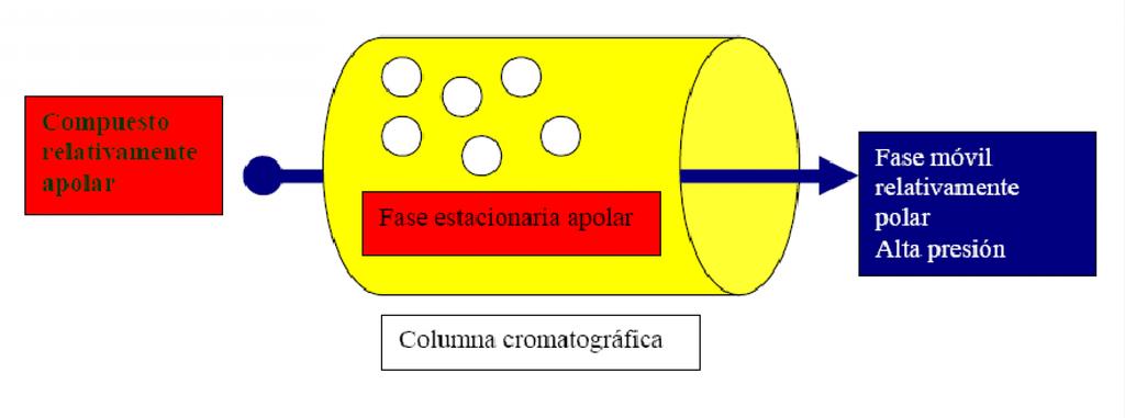 Fig. 4 Representación de cromatografía de