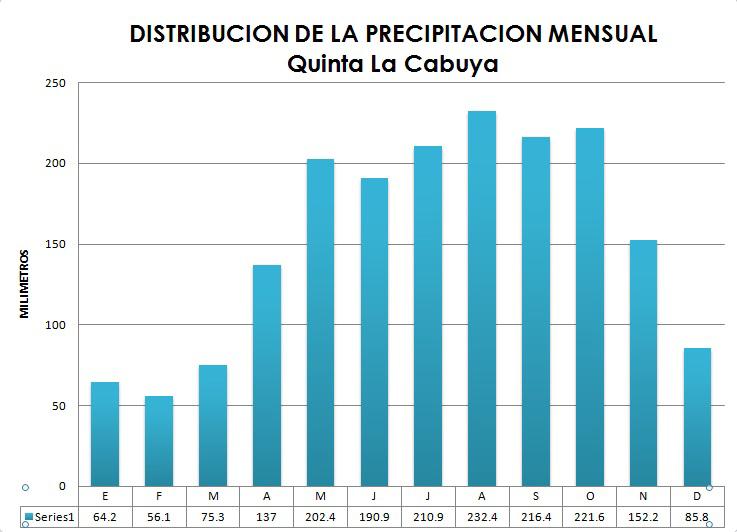 Se destacan inmediatamente dos periodos importantes deficitarios de lluvias normales desde 1995 a 1997 y desde 1999 al 2002, y valores consecutivos por encima de la media del 2010 al 2012.
