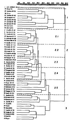 TAXONOMÍA NUMÉRICA - caracteres fenotípicos (no menos de 60) - coeficiente de semejanza = a + d.