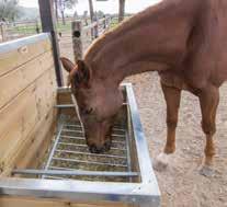 3. Manejo: Dependiendo del número de caballos que tengamos en cada Paddocks, podemos elegir el tamaño de la Henera GRAZE NATURALLY, facilitando el manejo porque las pacas se