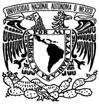 UNIVERSIDAD NACIONAL AUTÓNOMA DE MÉXICO PROGRAMA DE PROYECTO QUE SE PRESENTA: CAMPOS DE CONOCIMIENTO QUE COMPRENDE: GRADO O GRADOS QUE SE