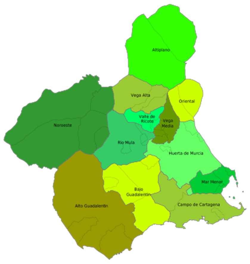 El ámbito de actuación del servicio de teleasistencia de Tunstall Televida abarca los 45 municipios que componen la Región de Murcia.