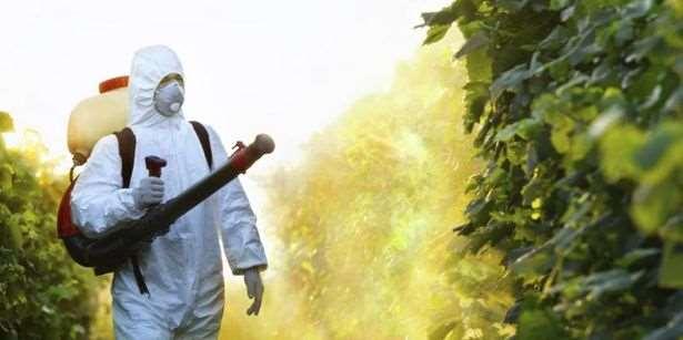 POR QUÉ CONTROL BIOLÓGICO? Pérdida del equilibrio ecológico Resistencia de las plagas a los pesticidas.