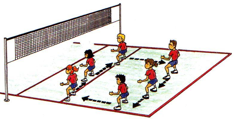 Observaràs en un partit que el camp de voleibol es divideix en zones que han de ser ocupades pels jugadors, per tal de cobrir tots els espais i evitar així que el baló bote en terra.