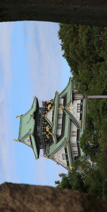 Visita del Castillo de Osaka construido a finales del siglo XVI, quemado y reconstruido en múltiples ocasiones y donde se muestran más de 4.