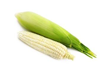 ESTIMACIÓN 2030 * MAÍZ BLANCO Consumo y producción nacional maíz blanco: para el año 2030 se estima que el consumo nacional tendrá un decremento de 23.67 a 22.86 MMt (un descenso acumulado de 3.