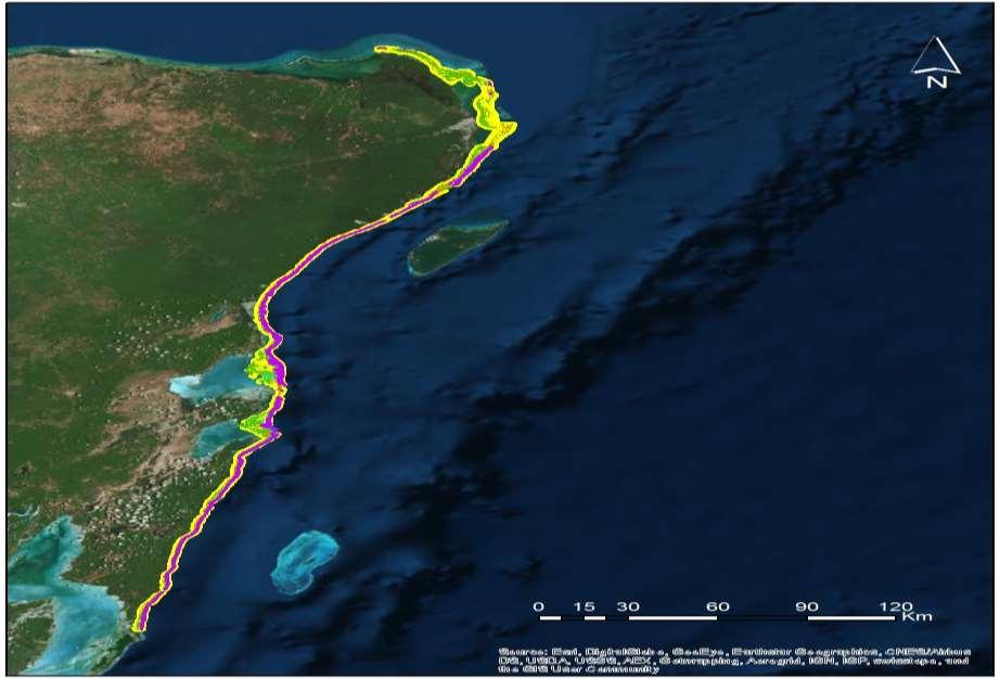 Conocimiento del Ecosistema Arrecifal Coralino del Caribe mexicano.