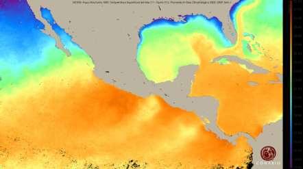 ecosistemas marinos de México.