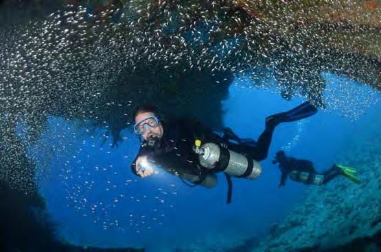 A continuación se atraviesa el azul hasta llegar a la increíble pared vertical de Shark Reef, que se pierde en la profundidad y desciende a más de 700 metros.