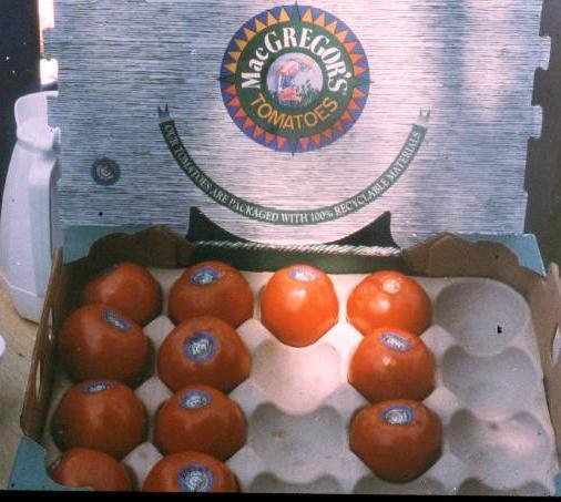 FlavrSavr GE tomates en el mercado, EU, 1994