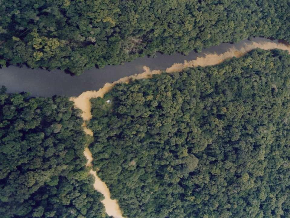 PRIMERA ETAPA DE UN DESASTRE Río Cuyuní