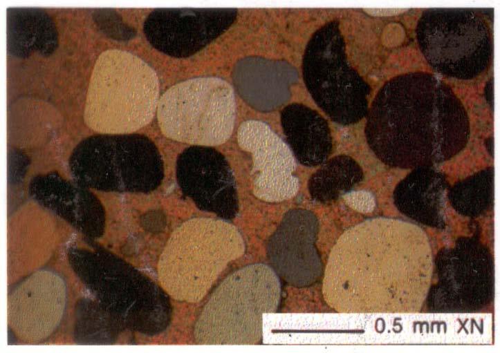 Granos minerales Fragmentos líticos o fragmentos de roca Matriz Cemententante Las rocas terrígenas constan de granos