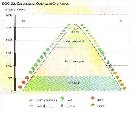 2. A partir del análisis de este gráfico, realiza el comentario correspondiente sobre la distribución de la vegetación en la Cordillera Cantábrica.