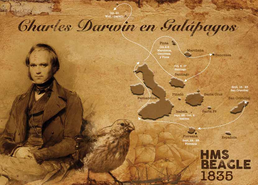 En 1831, un joven Charles Darwin de 22 años partió de Inglaterra a bordo del HMS Beagle en un viaje de descubrimiento que duró casi cinco años.