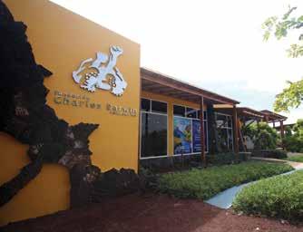 Logros institucionales 1959 Se crea la Fundación Charles Darwin para las Islas Galápagos (FCD) y se establece el Parque Nacional Galápagos (PNG).