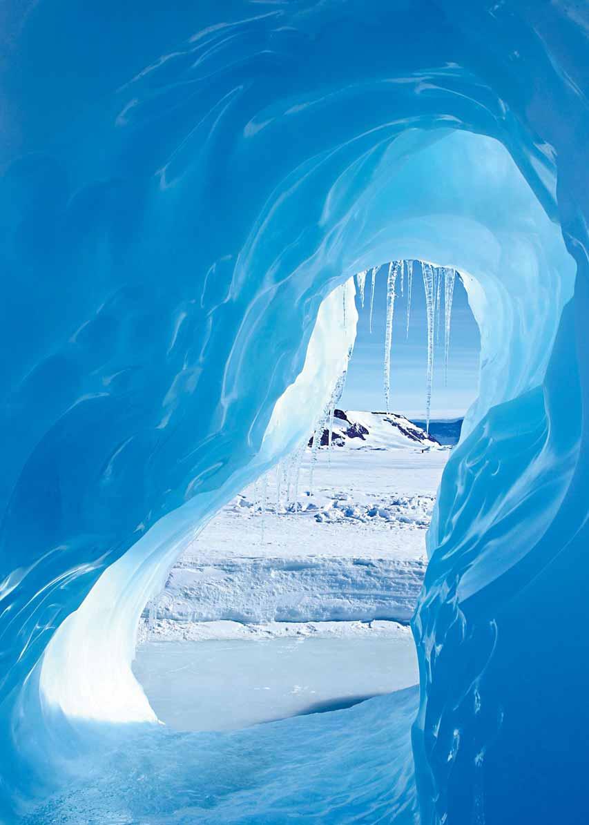 Antártida Naturaleza virgen en estado puro.
