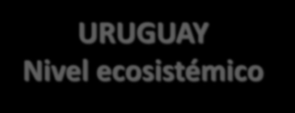 URUGUAY Nivel ecosistémico A nivel macro: pastizales, sabanas o praderas templadas.