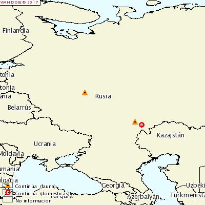 Mapa OIE focos Rusia 27 enero 2017 El 10 de febrero de 2017 Rusia comunicó a la OIE dos focos en el oblast de Sarátov, uno afectando a 5 jabalíes y el otro en una explotación de traspatio con un