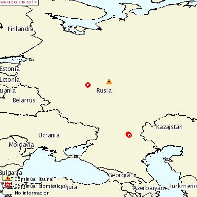 Mapa OIE focos Rusia 24 julio 2017 El 1 de agosto de 2017 Rusia declaró a la OIE 12 focos distribuidos por varias regiones, uno de ellos en un jabalí y los otros 11