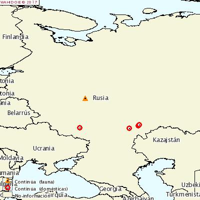 Mapa OIE focos Rusia 1 septiembre 2017 El 8 de septiembre de 2017 Rusia comunicó a la OIE 7 focos en diferentes oblast, uno de ellos en un jabalí y los otros seis en porcino doméstico afectando en