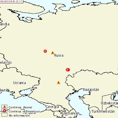 Mapa OIE focos Rusia 15 septiembre 2017 El 22 de septiembre de 2017 Rusia notificó a la OIE 8 focos en varios oblast, de los cuales 5
