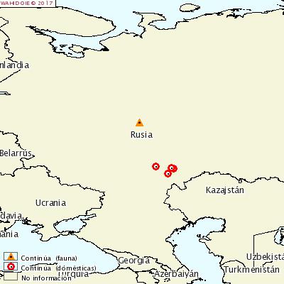 Mapa OIE focos Rusia 29 septiembre 2017 El 6 de octubre de 2017 Rusia notificó a la OIE un foco en una explotación del oblast Saratova con un censo de 77 cerdos, entre los que hubo 6 casos.